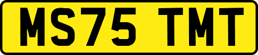 MS75TMT