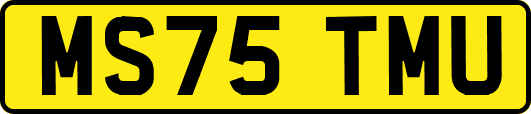 MS75TMU