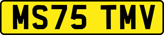 MS75TMV