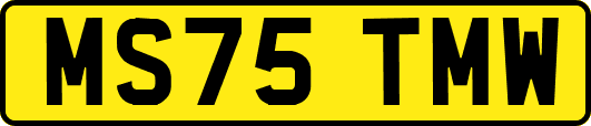 MS75TMW