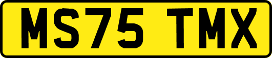 MS75TMX