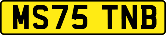 MS75TNB