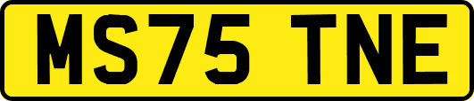 MS75TNE
