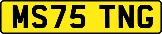 MS75TNG