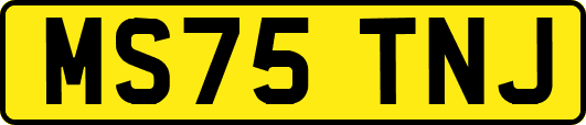 MS75TNJ