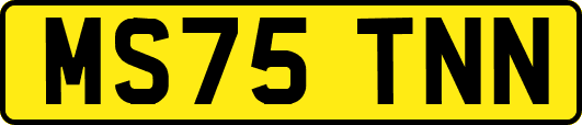 MS75TNN