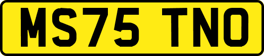 MS75TNO