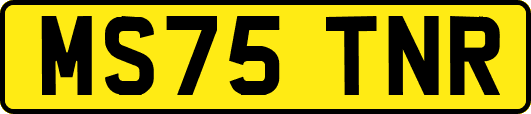 MS75TNR