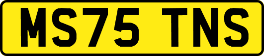 MS75TNS