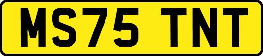 MS75TNT