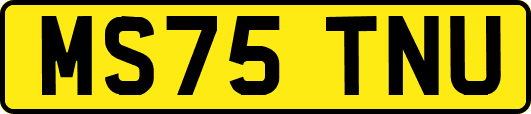 MS75TNU
