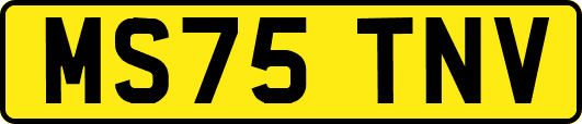 MS75TNV