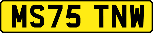 MS75TNW