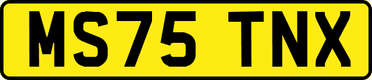 MS75TNX