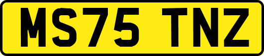 MS75TNZ