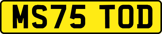 MS75TOD