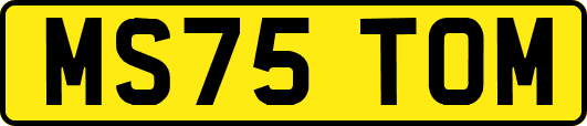 MS75TOM