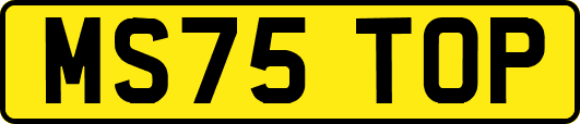 MS75TOP
