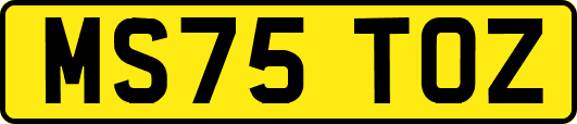 MS75TOZ