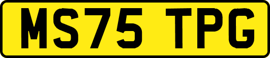 MS75TPG