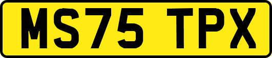 MS75TPX