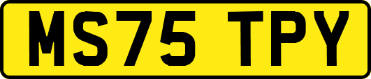 MS75TPY