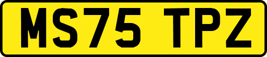 MS75TPZ