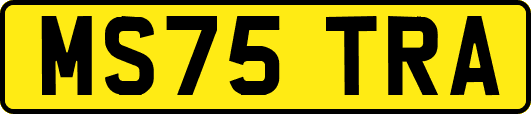 MS75TRA