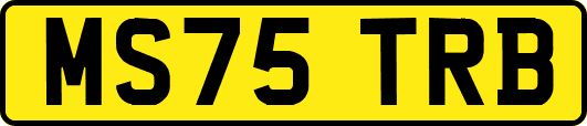 MS75TRB