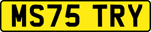 MS75TRY