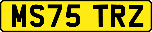 MS75TRZ