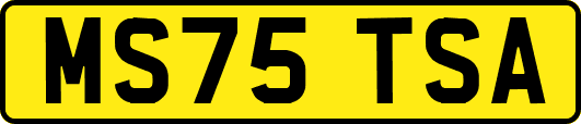 MS75TSA