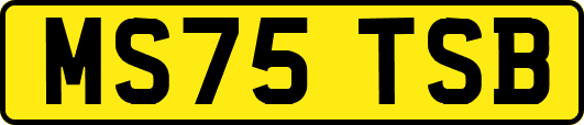 MS75TSB