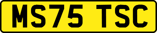 MS75TSC