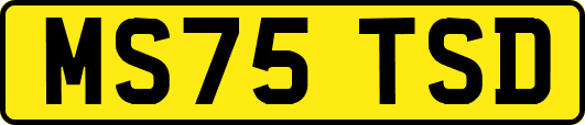MS75TSD
