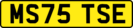 MS75TSE