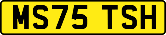 MS75TSH