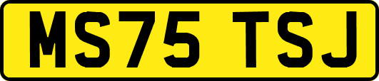 MS75TSJ