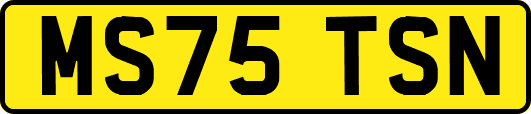 MS75TSN