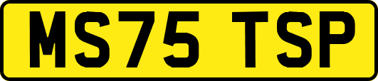 MS75TSP