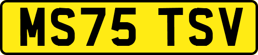 MS75TSV
