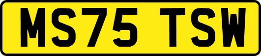 MS75TSW