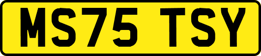MS75TSY