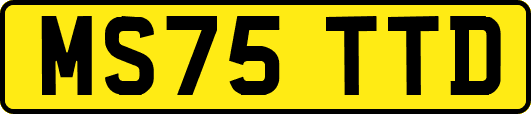MS75TTD