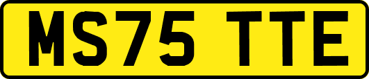 MS75TTE