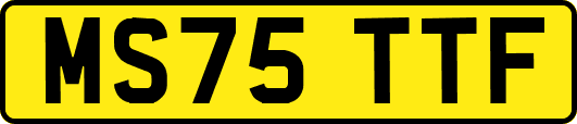 MS75TTF