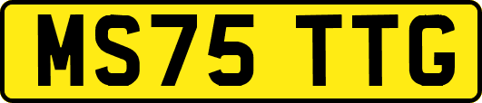 MS75TTG