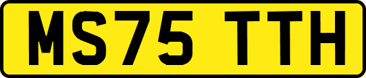 MS75TTH