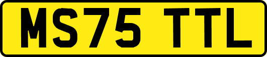 MS75TTL
