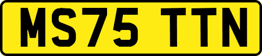 MS75TTN